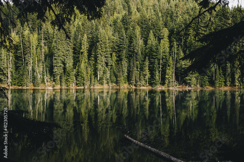 Perfectly still lake and reflection of pine trees photo