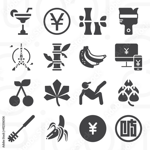 Photography 16 pack of japanese  filled web icons set