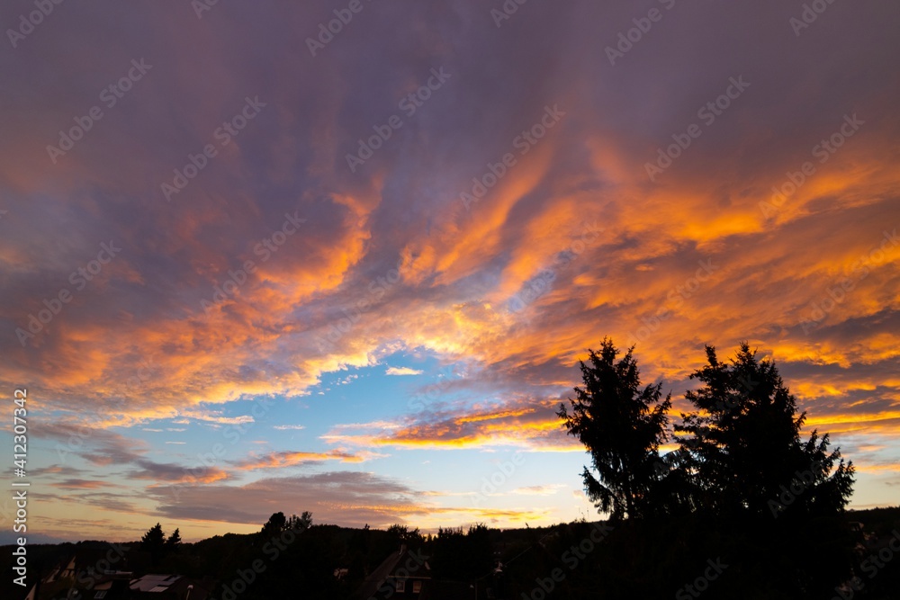 sunset in the forest