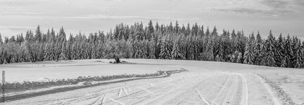Fototapeta premium Cross country skiing track on sunny day