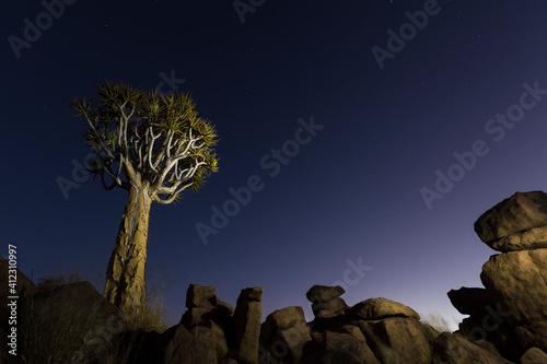 Quiver Tree during morning sunrise at giants' playground photo