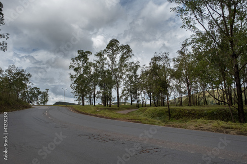 Fototapeta Naklejka Na Ścianę i Meble -  Curva da estrada no interior de Minas Gerais, com eucaliptos plantados ao lado