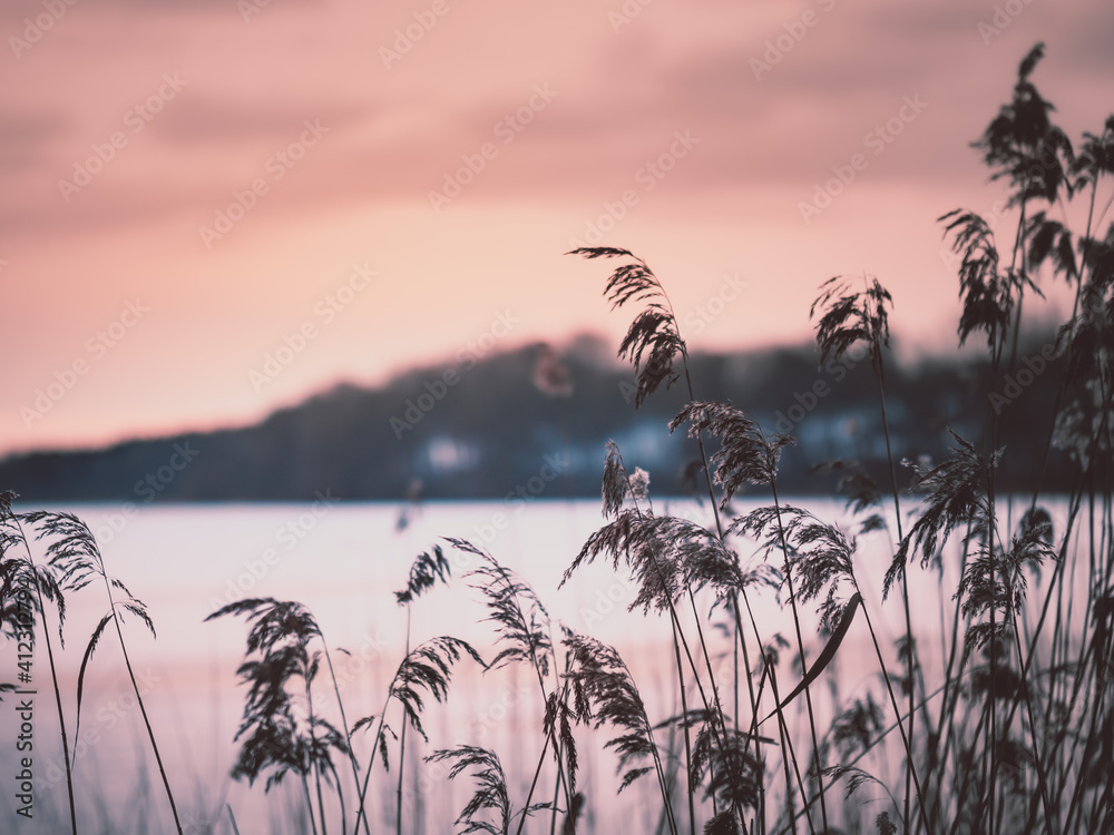 Obraz premium winter sunset