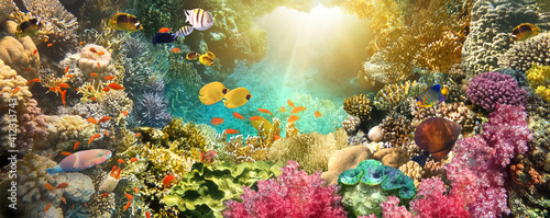fish in the natural environment
