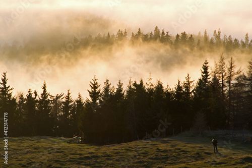 Fotografie Autumn sunset fog scene with some trees