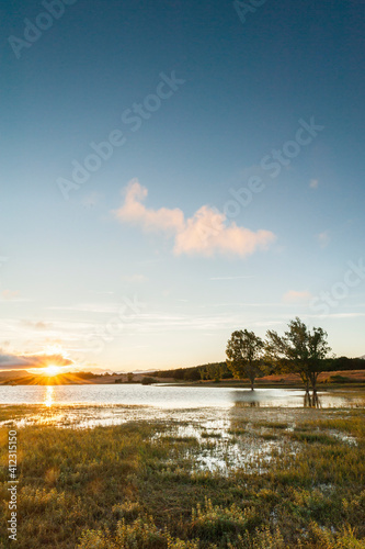 Wetland at sunset