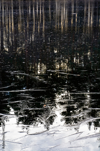 Thin ice on a pond in a pine forest 