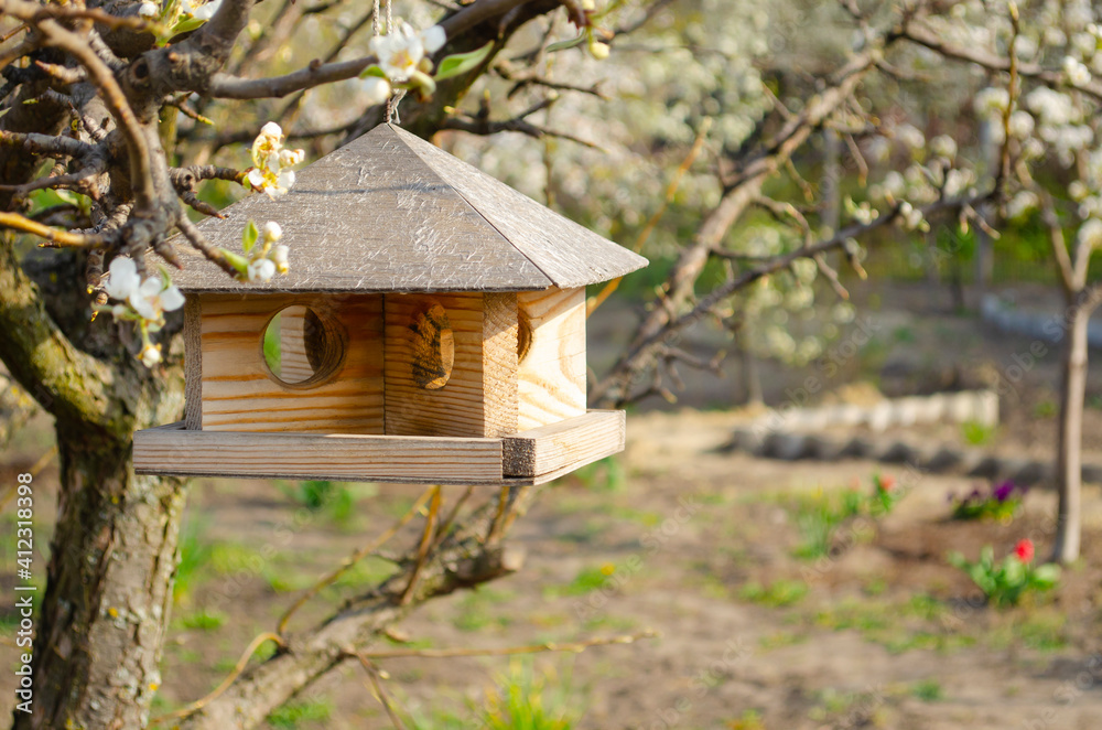 Hanging birdhouse on a tree. Feed for wild birds. Wooden house for birds. Feed the birds. Box without walls. Bread and crackers in the feeder.