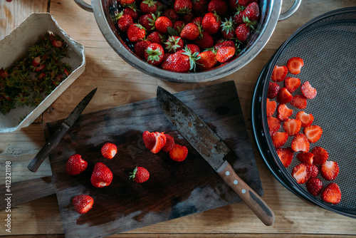 Food: Dehydrating fresh strawberries photo