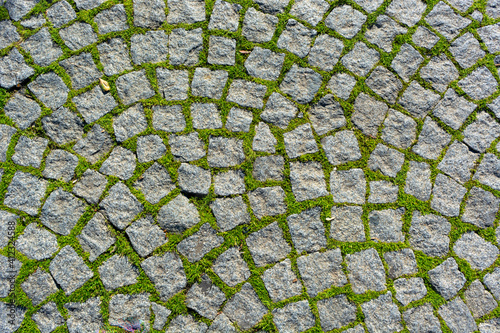texture of neglected abandoned paving stones overgrown with bright green gras