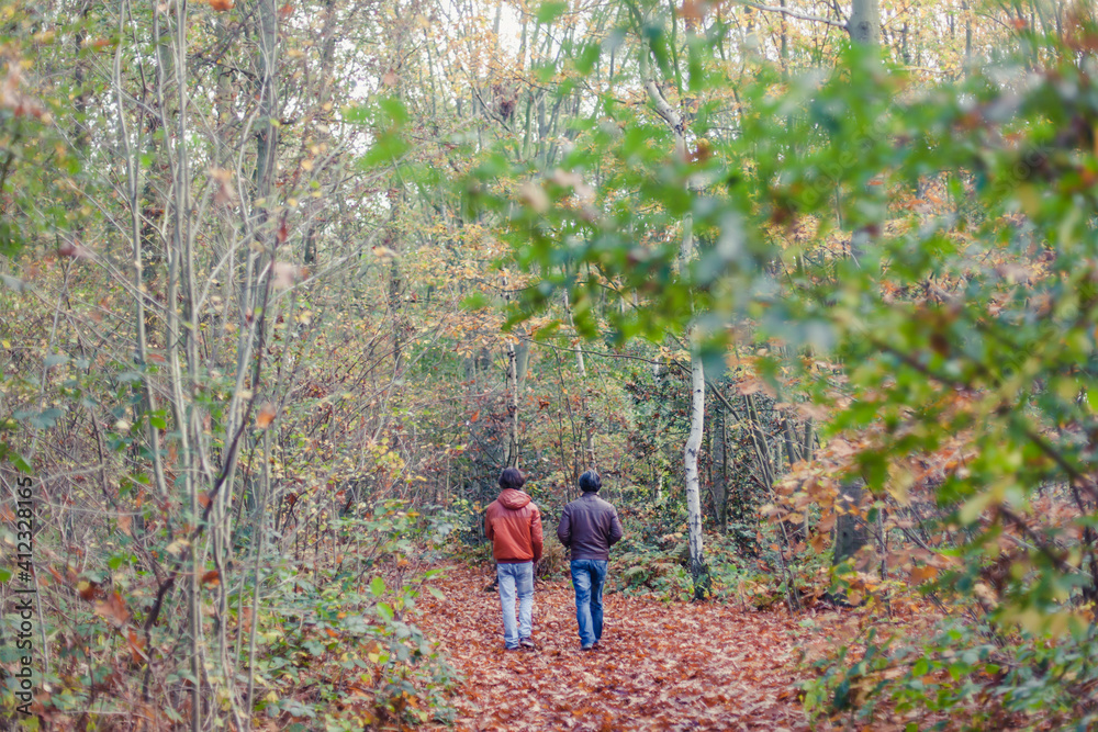 Father and son walking in the woods in autumn Father and son walking in the woods in autumn