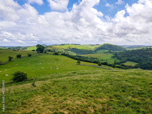 landscape with green grass and blue sky