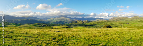 field of grass and mountains in Lake district panorama