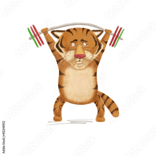 fat tiger lifts a barbell. Tiger rolled his eyes in exertion.tiger lifts weights and pushes