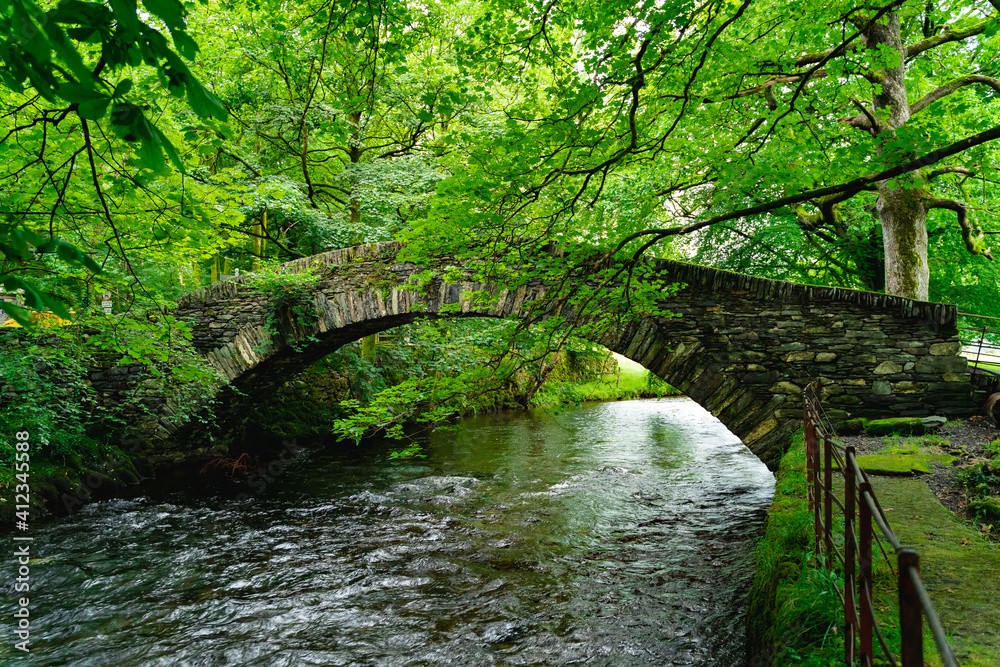 old bridge in the forest old bridge in the forest