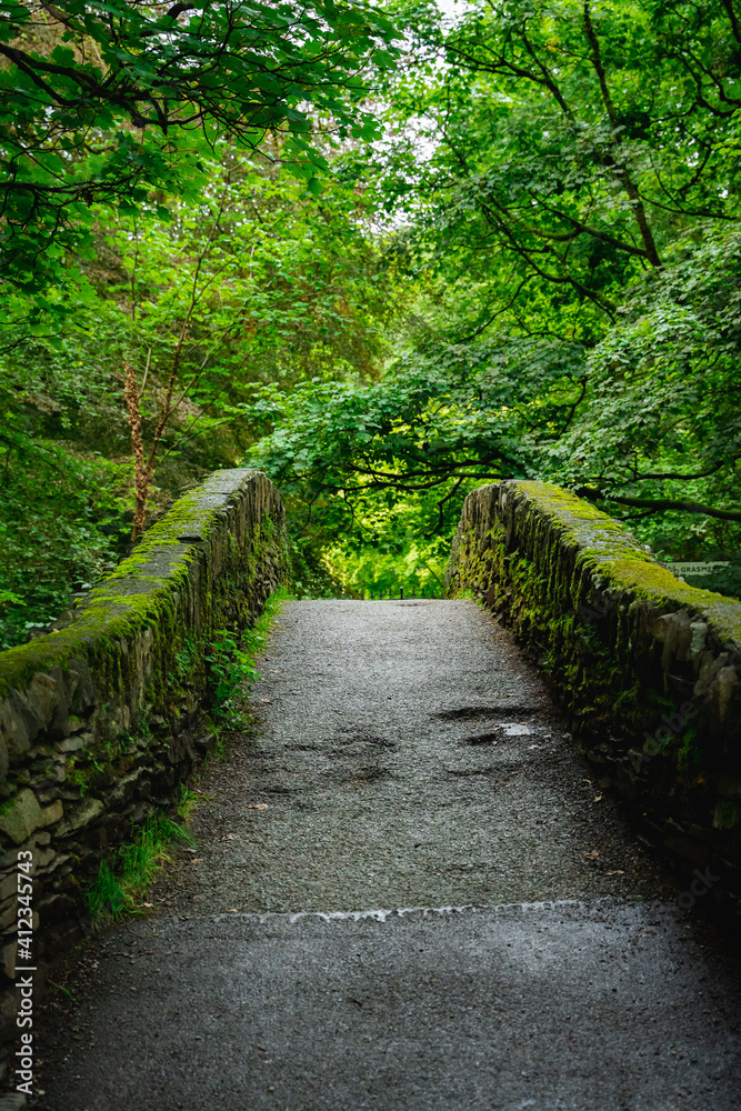 bridge in the park bridge in the park
