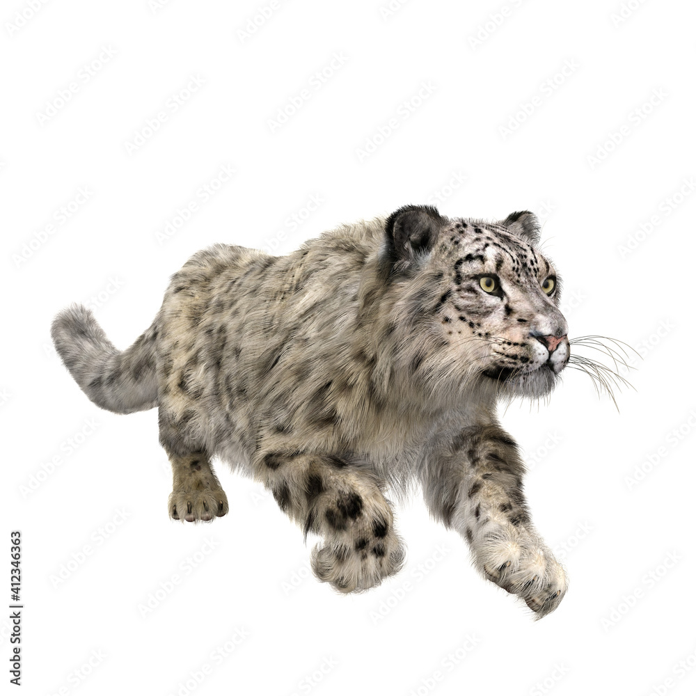 Obraz premium Snow Leopard running. 3D illustration isolated on white.
