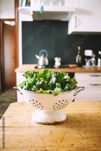 Canasta salad