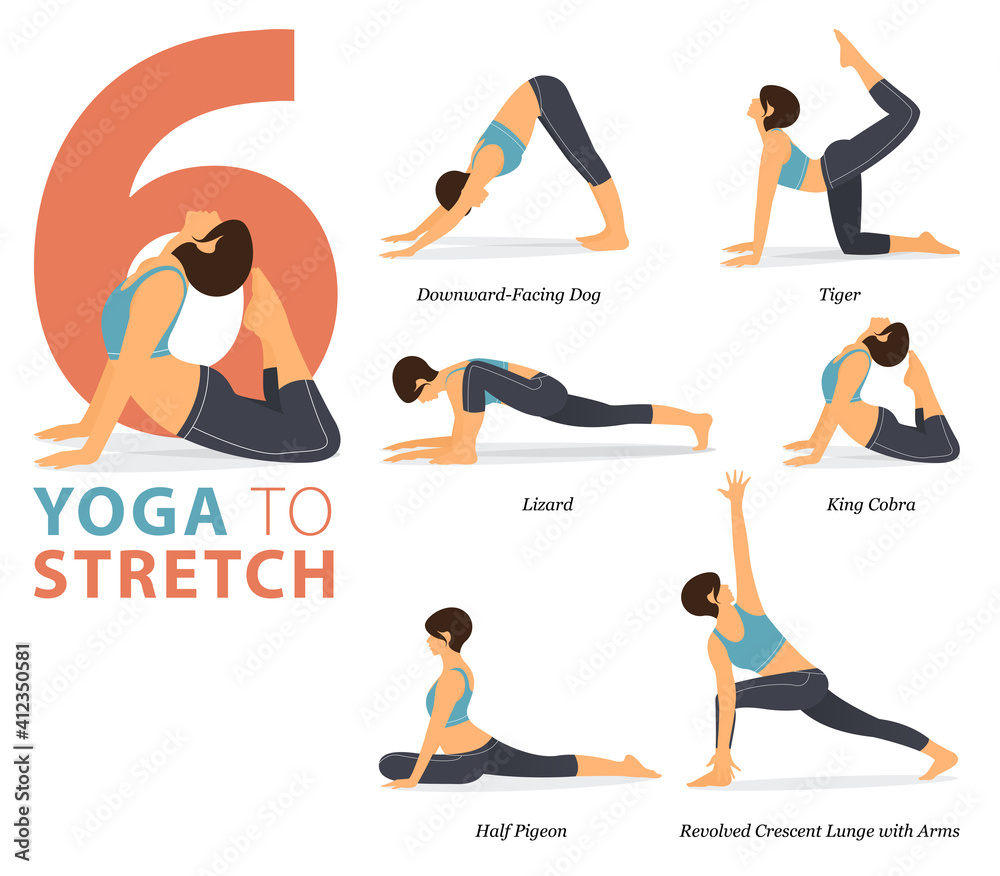 6 Yoga poses or asana posture for workout in Body Stretching concept. Women  exercising for body stretching. Fitness infographic. Flat cartoon vector  Stock Vector | Adobe Stock