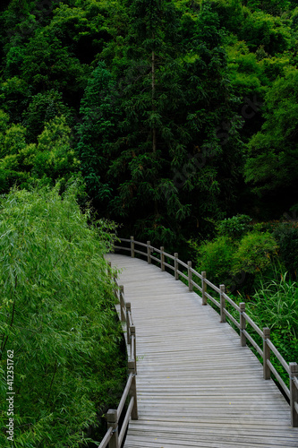 footbridge in forest