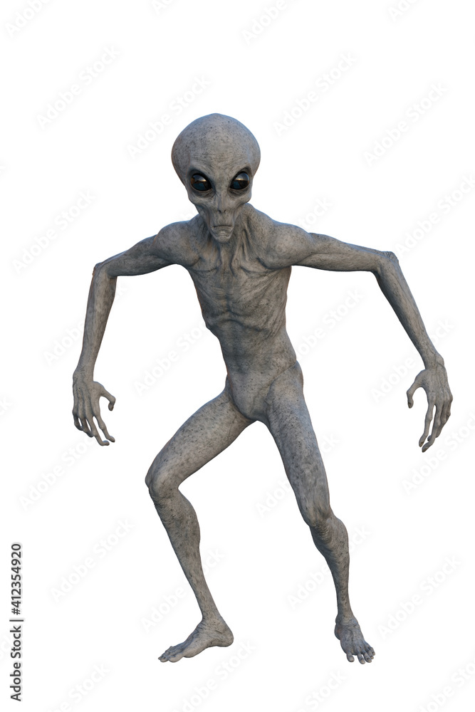 Grey Alien looking alert. 3D render isolated on white. Grey Alien looking alert. 3D render isolated on white.