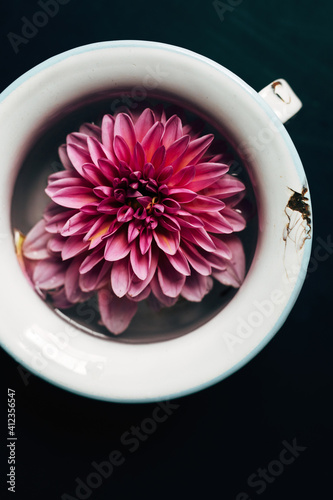 dahlia floating in an old, weathered cup