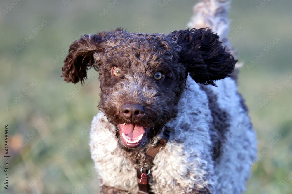 Lebensfreude - Lucy in action