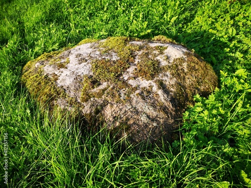 stone overgrown with moss in a clearing summer day