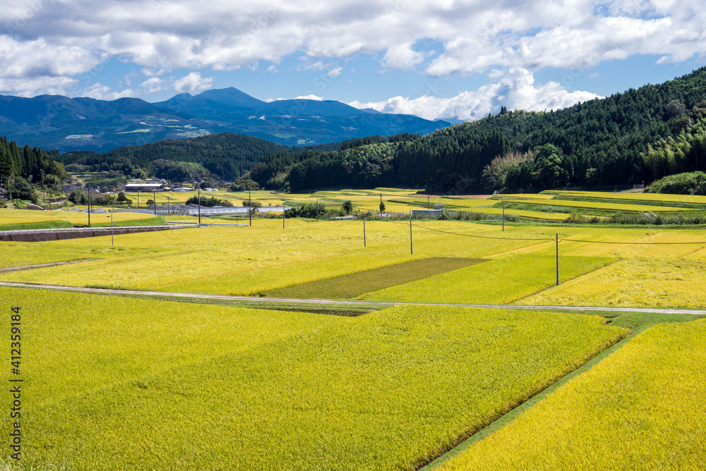 Obraz premium 霧島連山をバックに秋の田園地帯