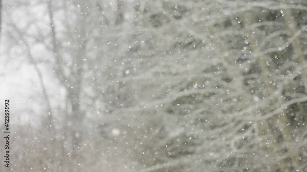 Closer look of the snow falling on the ground during the winter season Closer look of the snow falling on the ground during the winter season