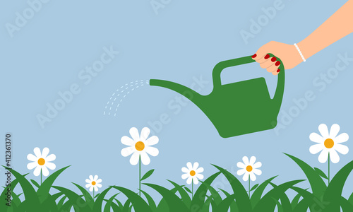 Female hand holds a watering can and waters chamomile flowers. Flat design. Vector illustration 