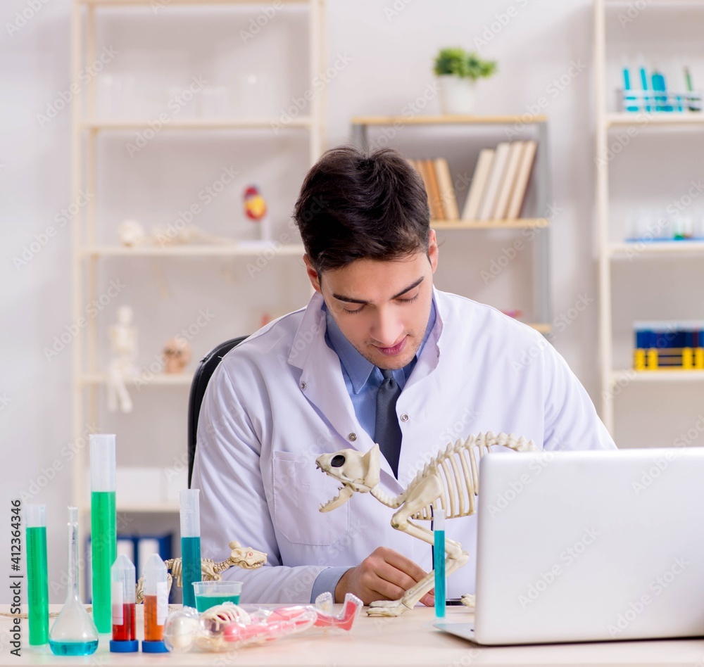 Funny scientist with cat skeleton in lab clinic Funny scientist with cat skeleton in lab clinic