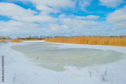 Snowy edge of a snow frozen lake in wetland under a blue white cloudy sky in winter, Almere, Flevoland, The Netherlands, February 9, 2020