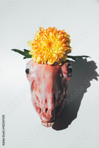 Sheep head with a yellow flower photo