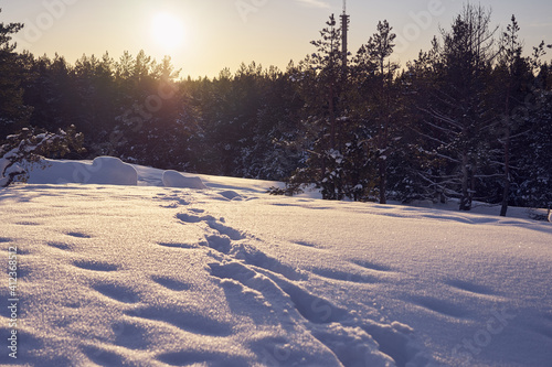 Snow path in the winter forest on a frosty day. © Mariia Lomarainen