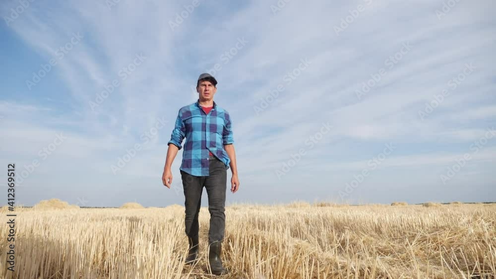 agriculture. man farmer in walk view over the mown wheat field. farmer worker walk home farm after harvesting end of the working day. agriculture. feet in the wheat field wheat agriculture. man farmer in walk view over the mown wheat field. farmer worker walk home farm after harvesting end of the working day. agriculture. feet in the wheat field wheat