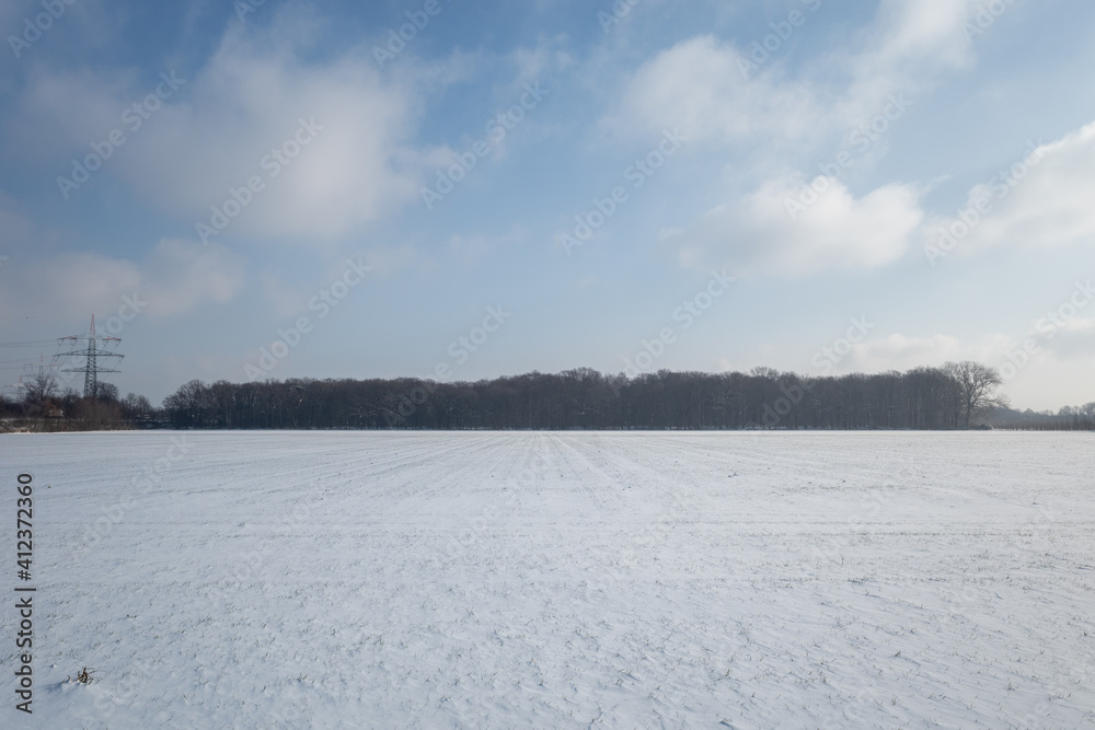 Outdoor sunny scenery of thick layer snow cover land and field, background of tree without leave in countryside in Germany during winter season.