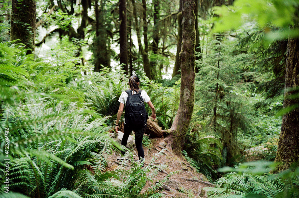 Hiking in the Hoh Rainforest Hiking in the Hoh Rainforest