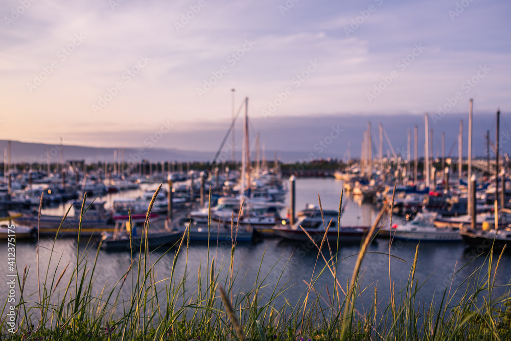 Sunset at marina with boats docked on water in Alaska with grass in foreground focus Sunset at marina with boats docked on water in Alaska with grass in foreground focus