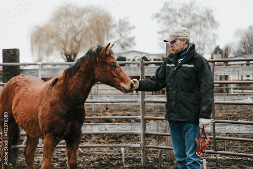 man reaching out to young colt during training