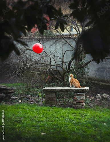 Red cat sitting on ancient stone bench in garden and staring at a floating red balloon photo