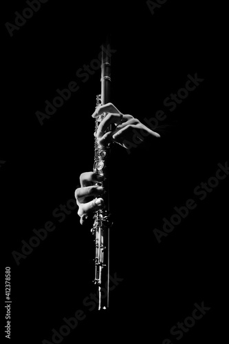 Obraz na plátne Flute instrument. Flutist hands playing flute music