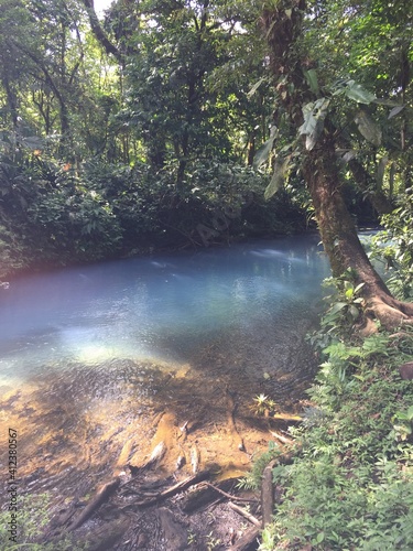 river in the forest