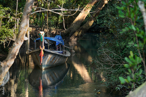 Boat in mangroves photo