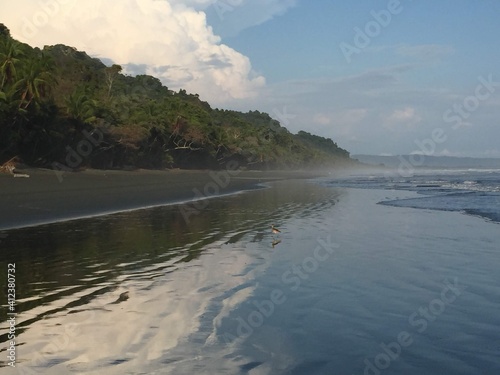 beach in the morning