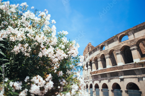 Coliseum and Spring Flowers photo