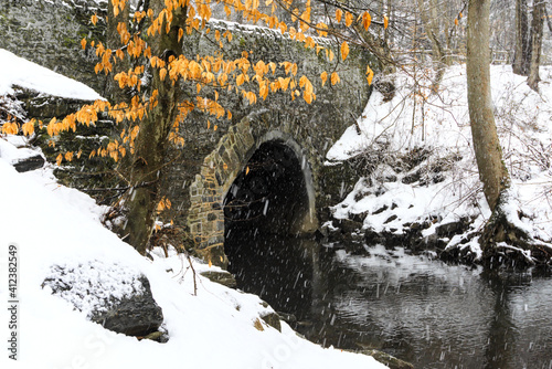 snow in the park photo