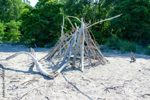 driftwood structure