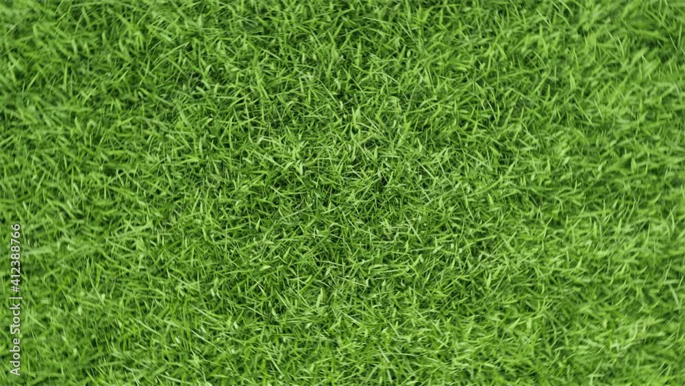 Dolly zoom out Aerial view of beautiful green grass courtyard with rotation moving camera angle background. Environment and ecology concept. Exterior nature scene. 4K motion graphic footage video. Dolly zoom out Aerial view of beautiful green grass courtyard with rotation moving camera angle background. Environment and ecology concept. Exterior nature scene. 4K motion graphic footage video.