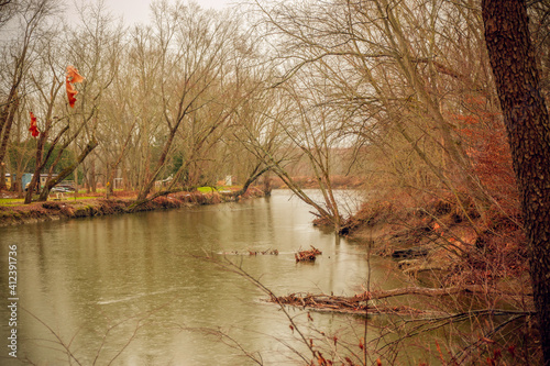 river in the woods